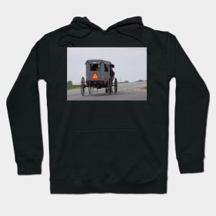 amish buggy Hoodie